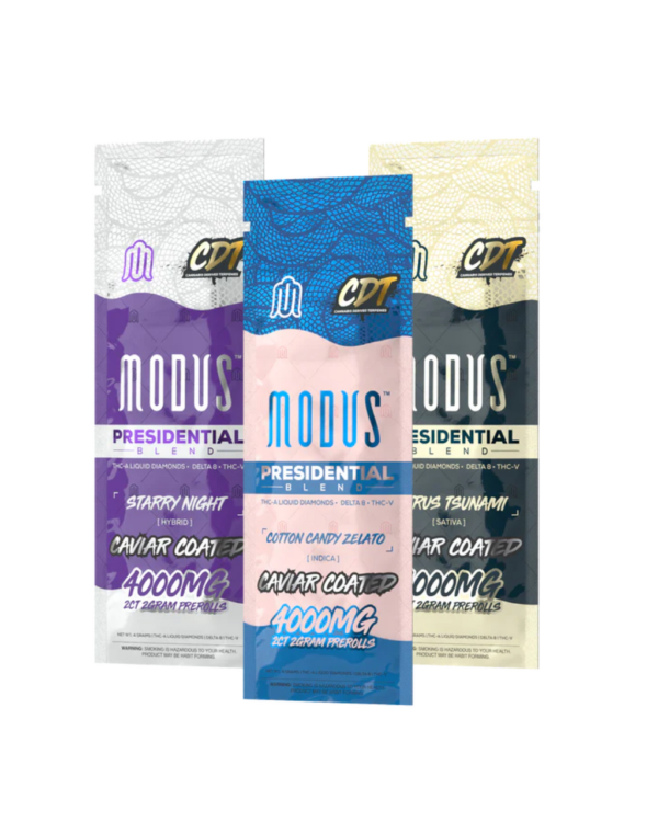 Modus Presidential Blend Pre Rolls - 2ct | 4g